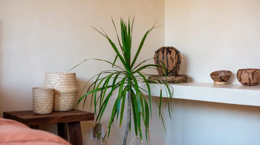 Tulum Modern Home For Sale